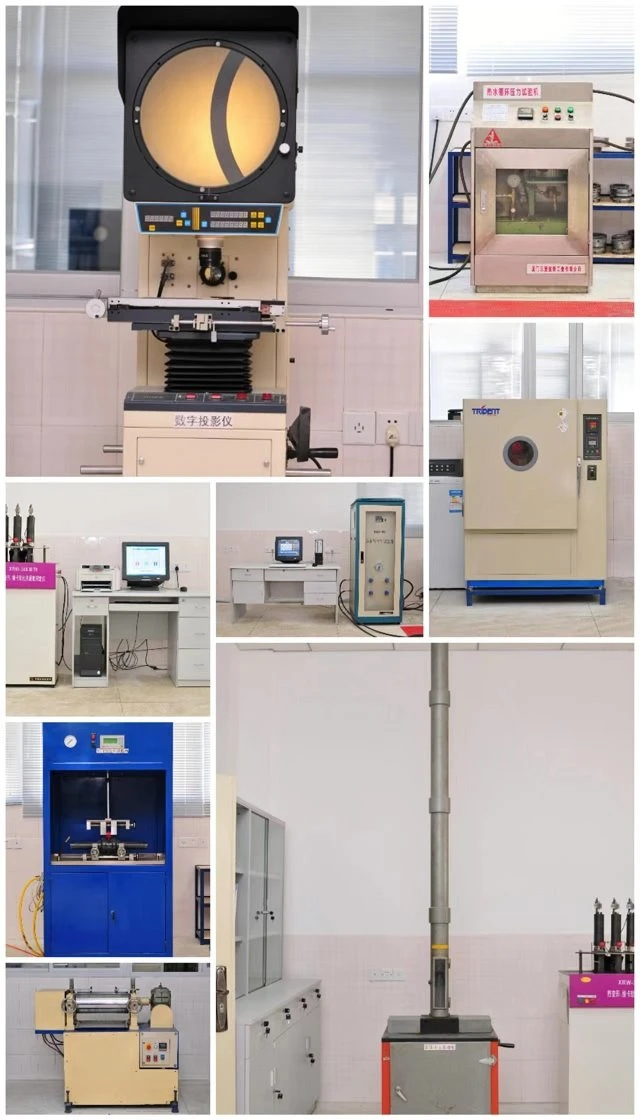 3 pph true union swing check valve Lab