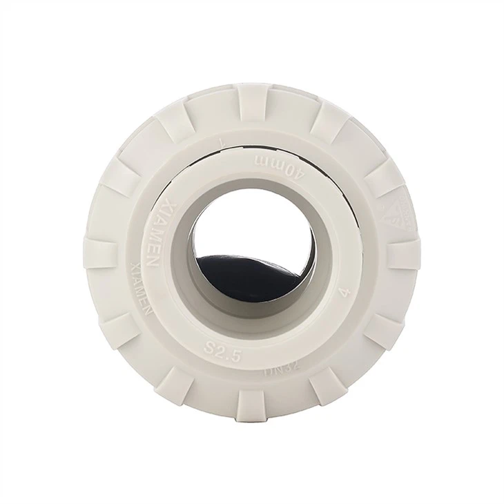 PPH True union swing check valve (2)